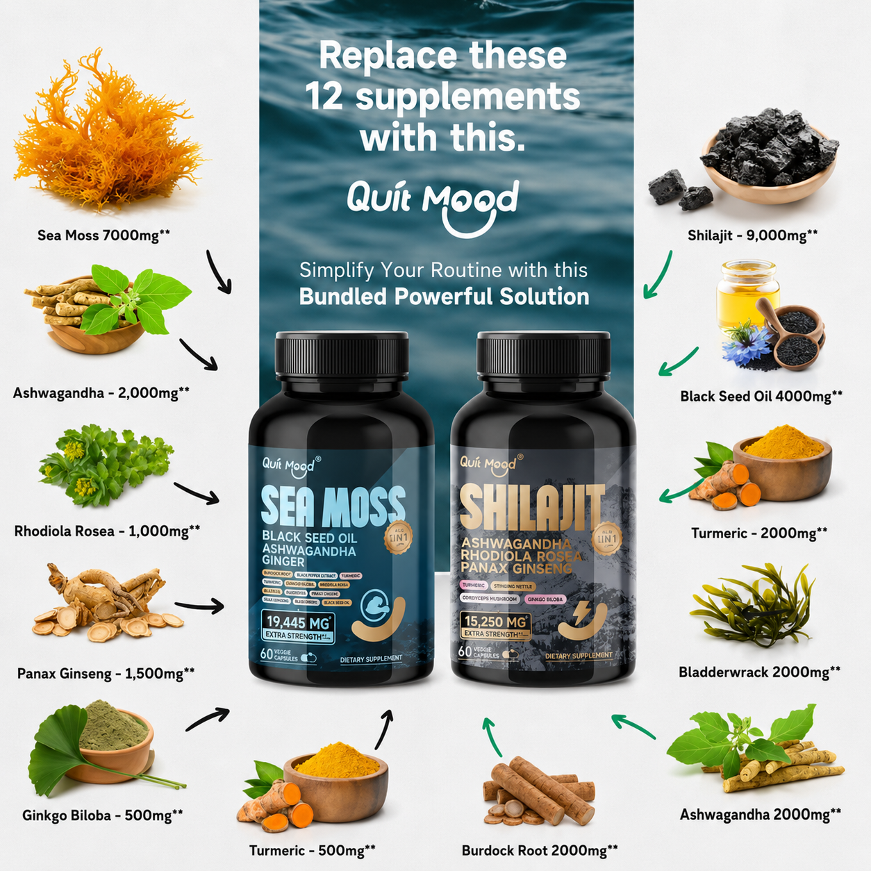 Shilajit And Moss Supplement