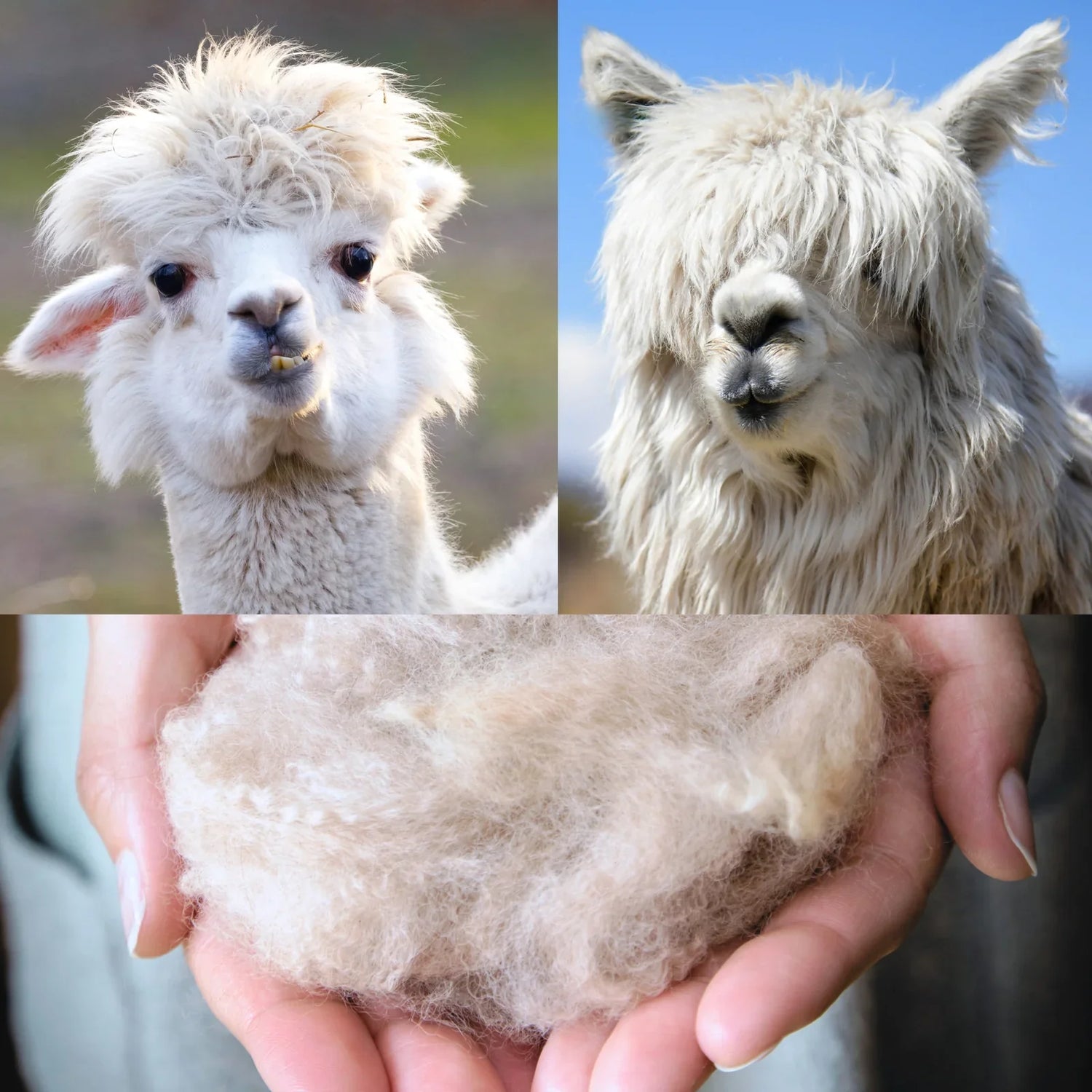 Natural Fibers Clothing